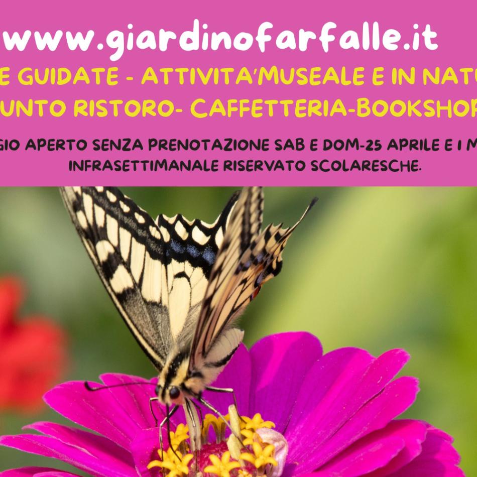 Immagine slider